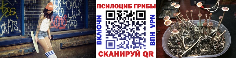 Псилоцибиновые грибы мицелий  где купить наркоту  Майский 