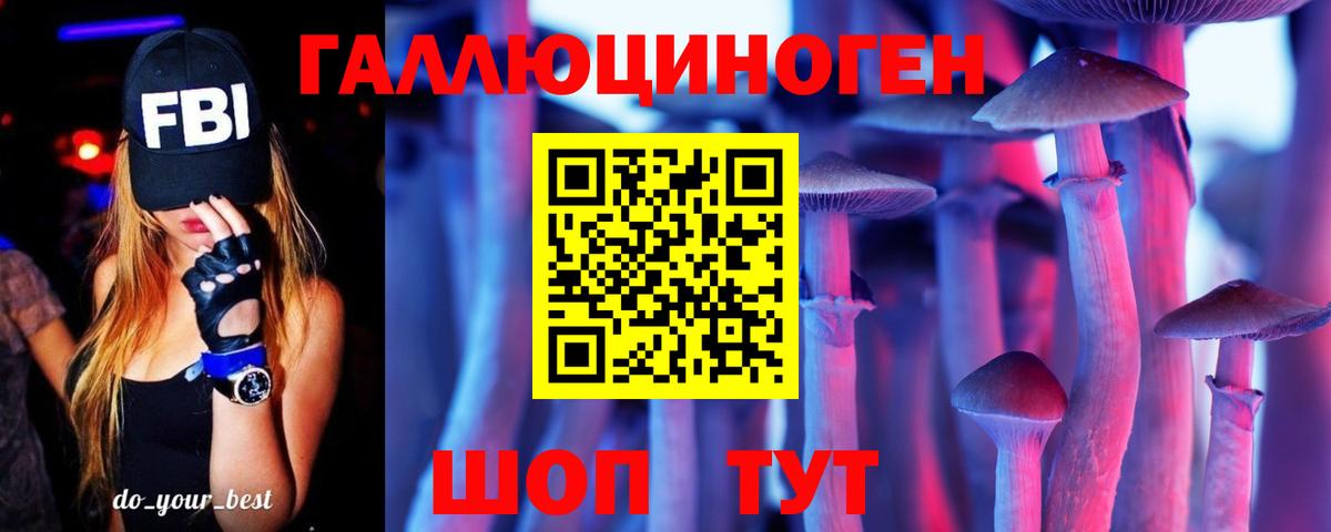 Майский  Псилоцибиновые грибы Magic Shrooms  Галлюциногенные грибы Psilocybine cubensis  Вход с VPN 